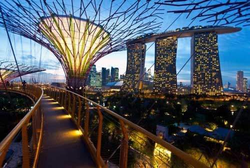 シンガポール植物園　セントーサ島