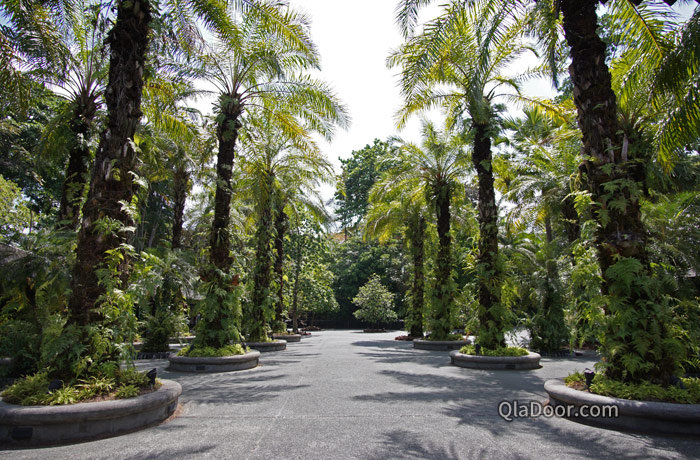 シンガポール植物園・ボタニックガーデンの情報