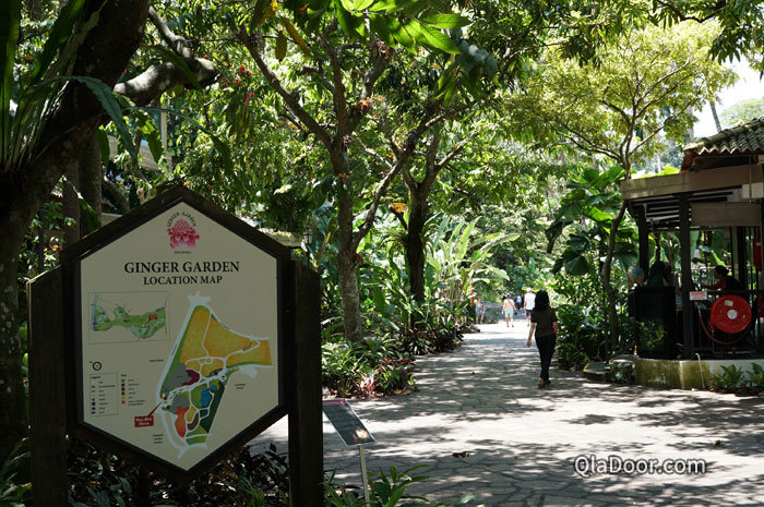 シンガポール植物園のジンジャーガーデン