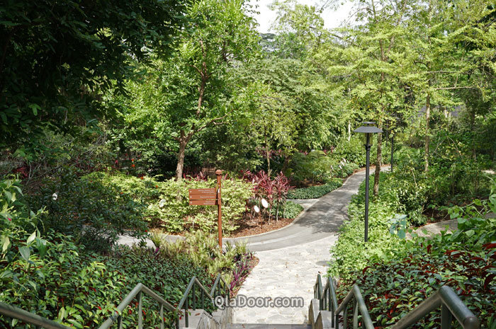 シンガポール植物園中のヒーリング・ガーデン